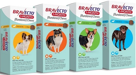 Bravecto 1 month Chew