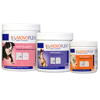 Movoflex large best sale