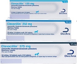 Clavacillin Tablet